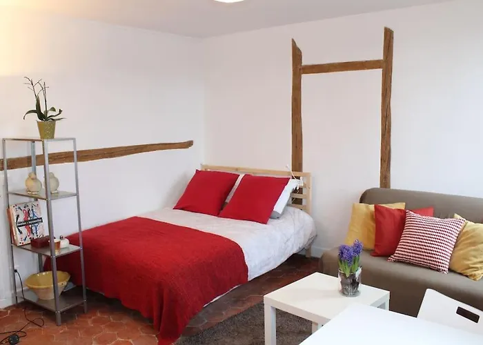 Agreable Studio A 1 Min Du Chateau De Versailles